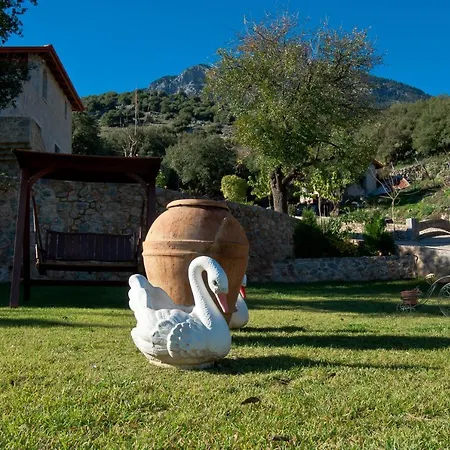 Lilea Chalet Parnassos * Λιλαία